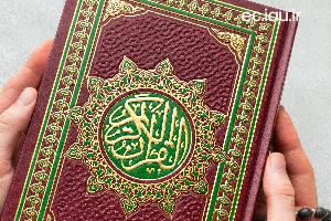 کسب رتبه‌های برتر  بیست و هفتمین دوره مسابقات سراسری قرآن و عترت توسط منتخبین واحد الکترونیکی